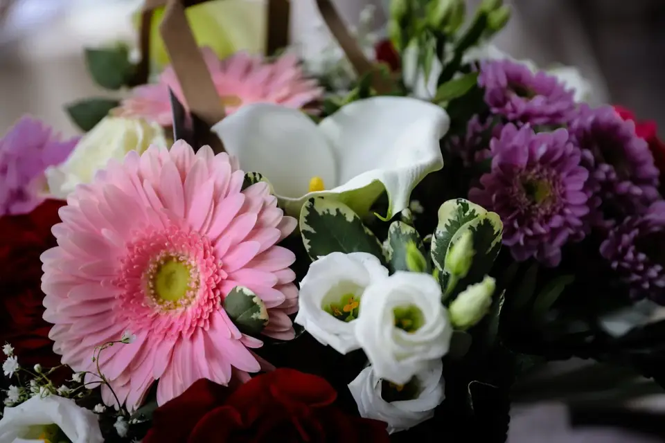 Dounia Ham — photo 3