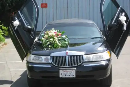 Showycars — photo 8