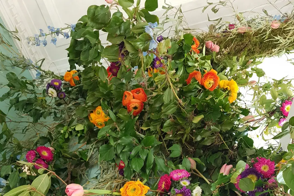 Envolée Végétale — photo 8