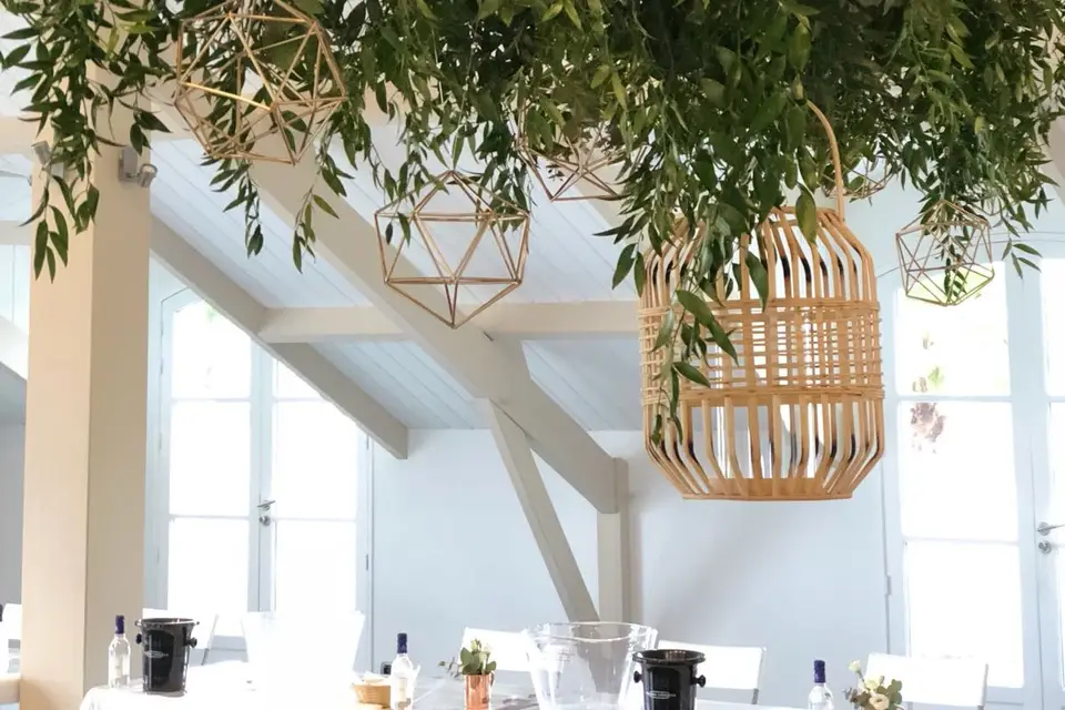 Envolée Végétale — photo 5