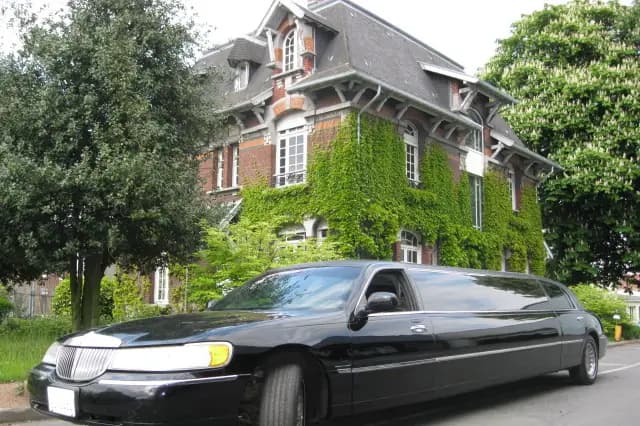 Showycars — photo 3