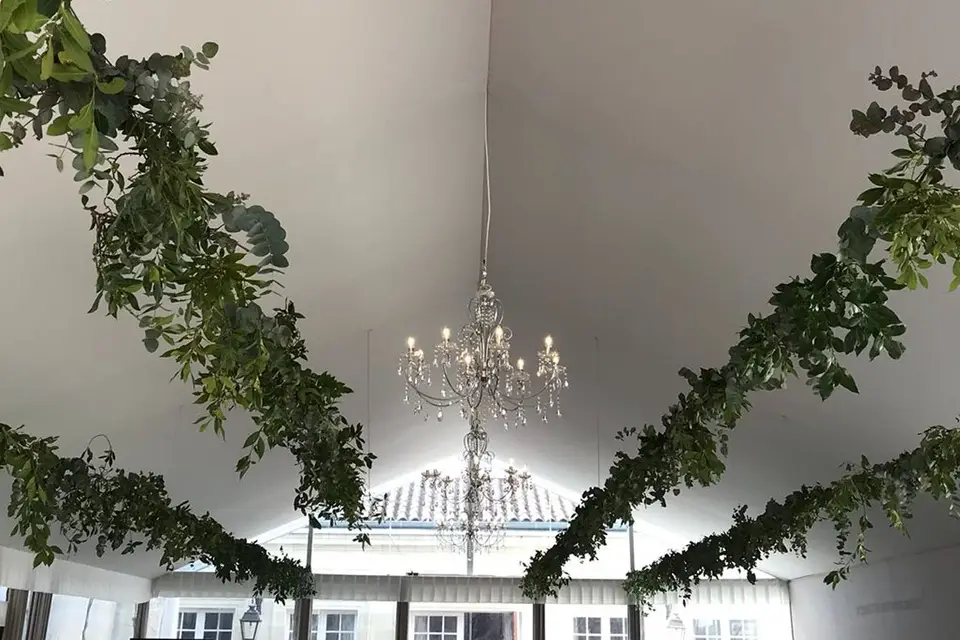 Envolée Végétale — photo 2