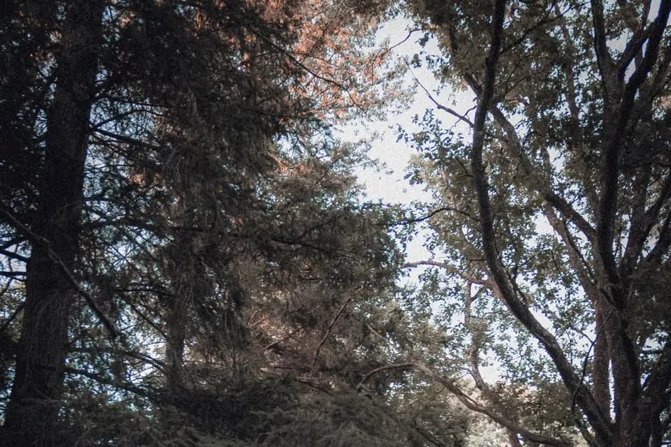 Titouan Merle Pictures — photo 8