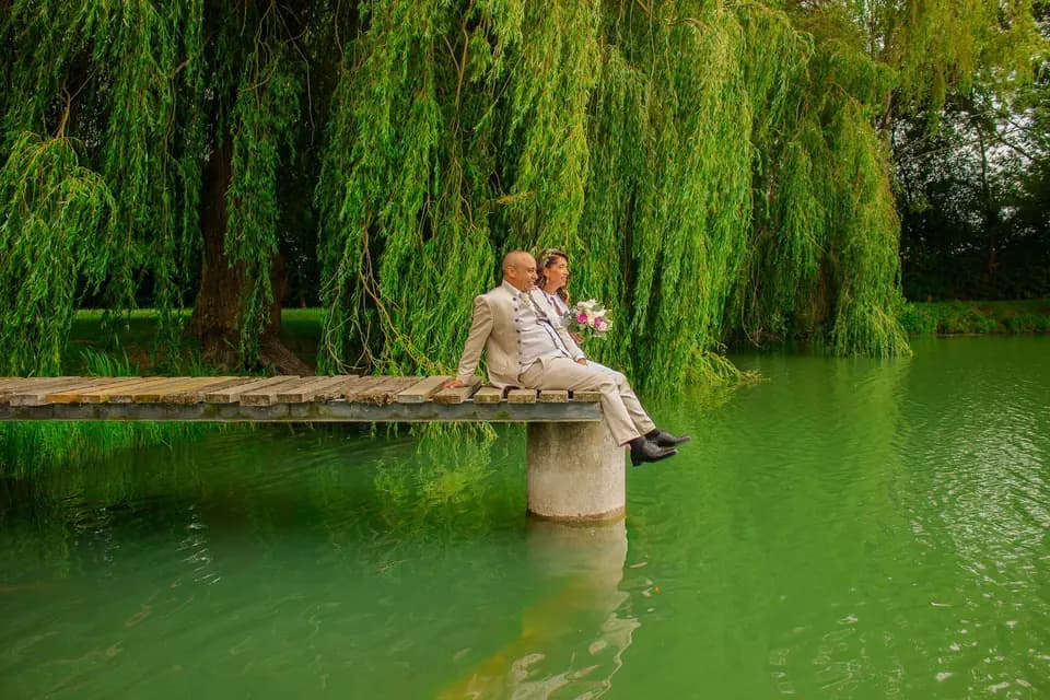 Disserelle Studio — photo 4