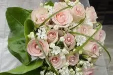 Fleur et Plus Compiègne — photo 2