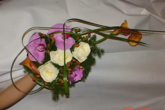 Fleur et Plus Compiègne — photo 4