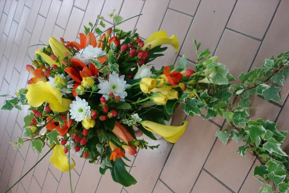 Fleur et Plus Compiègne — photo 3