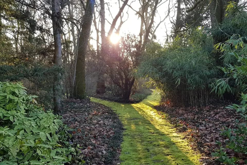 Le Domaine de Lamartine — photo 7