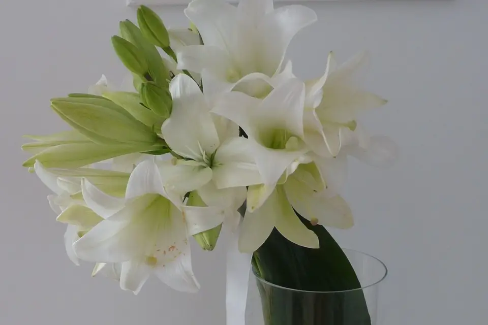 L'Atelier des fleurs — photo 1