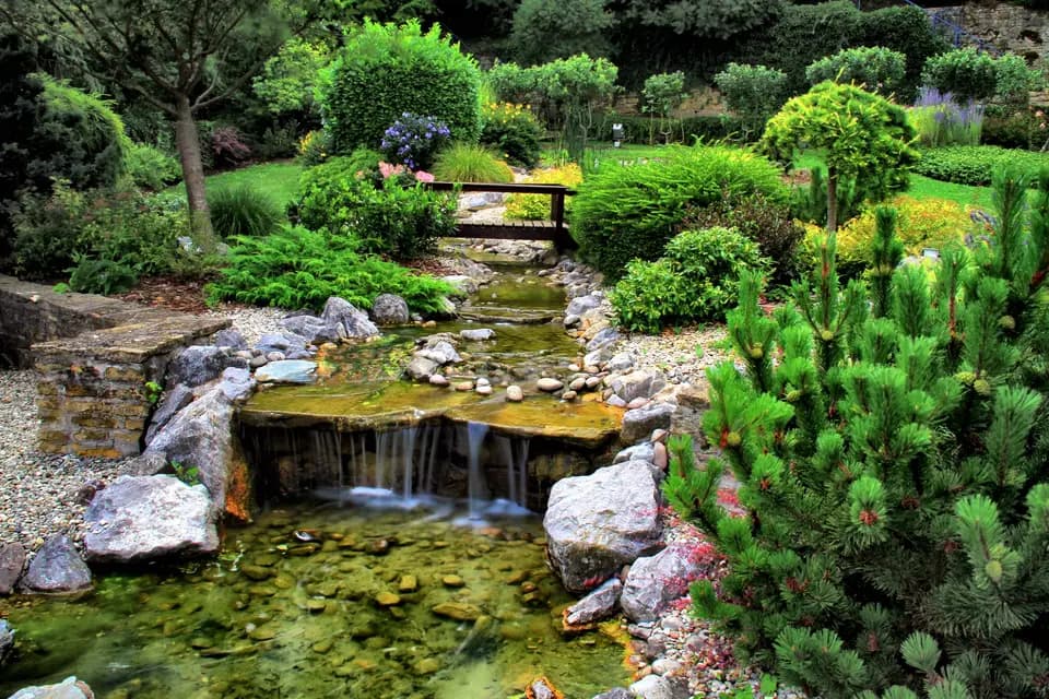 Hôtel Aster — photo 5