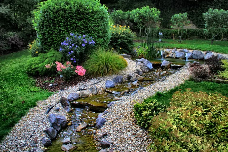 Hôtel Aster — photo 6