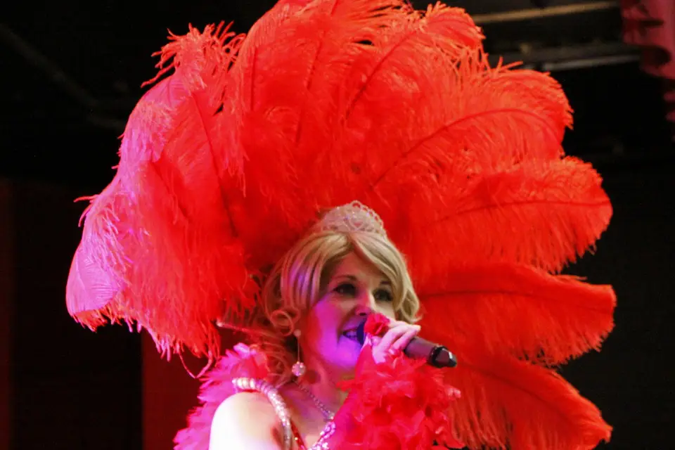 Animation Spectacle Orchestre — photo 1