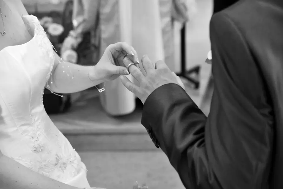 Livz Music — photo 6