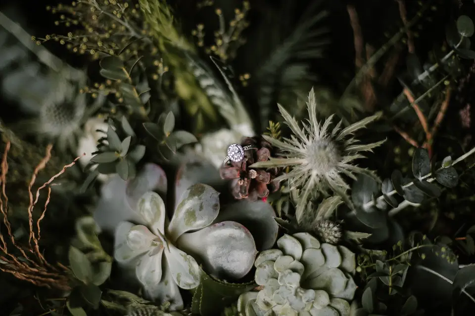 Hélène Vinuesa — photo 7