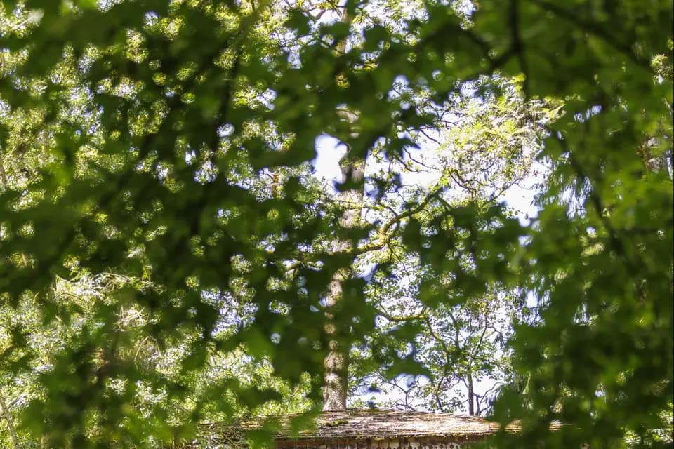 Domaine du Boisniard — photo 6