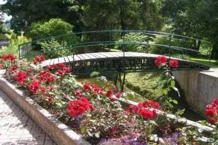 Moulin de chanteraine — photo 5