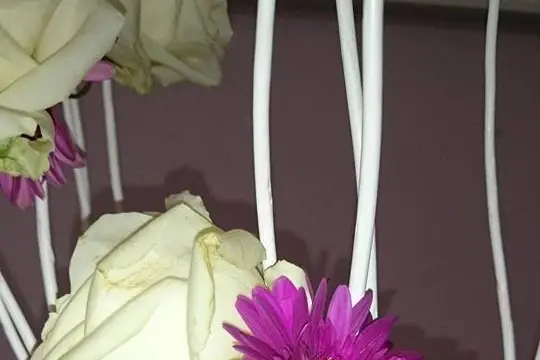 Thya Events — photo 2