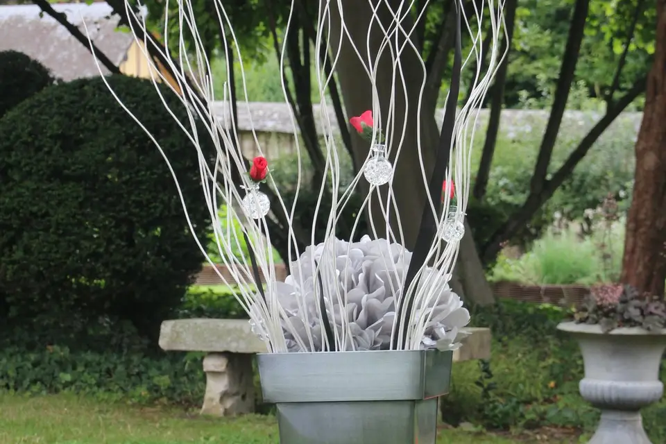 Thya Events — photo 3