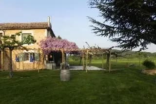 Domaine de la Tapie — photo 7