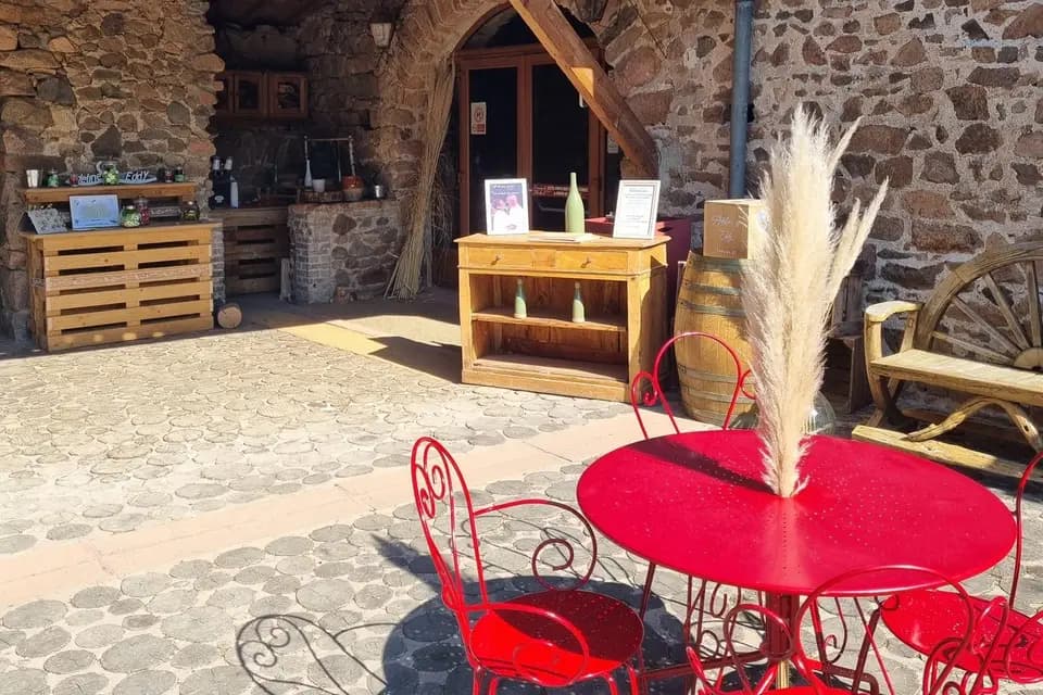 Domaine de Montfriol — photo 5