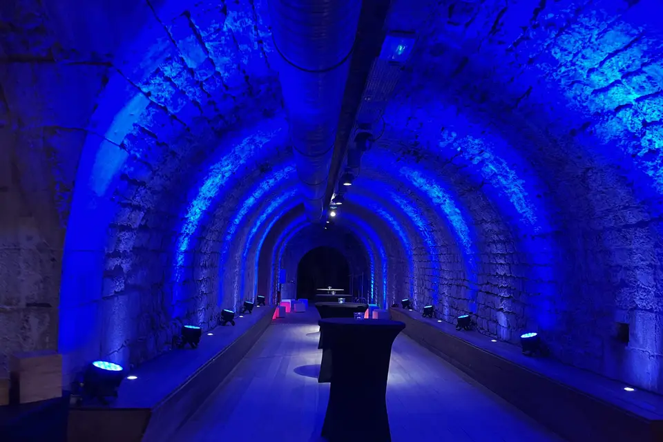 Night Animation Events — photo 8