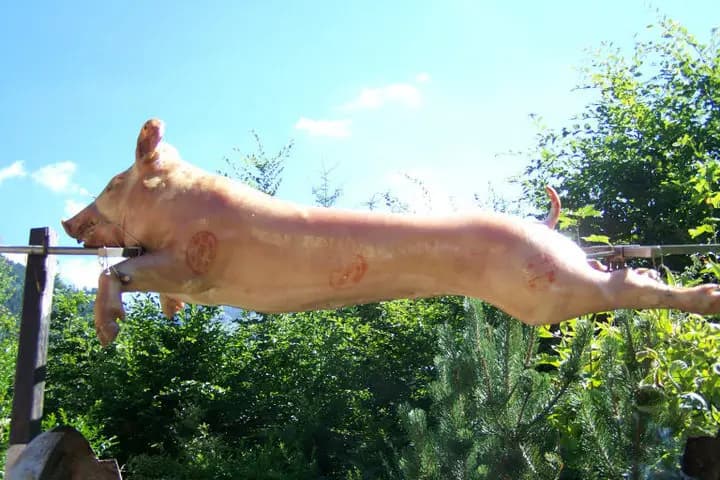 Laurent Valla — photo 1