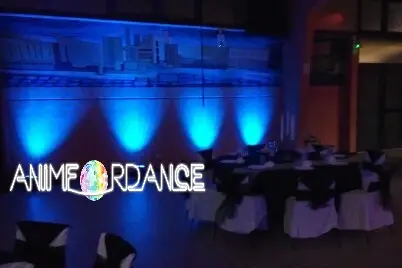 Animfordance — photo 7