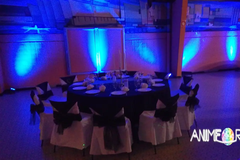 Animfordance — photo 8