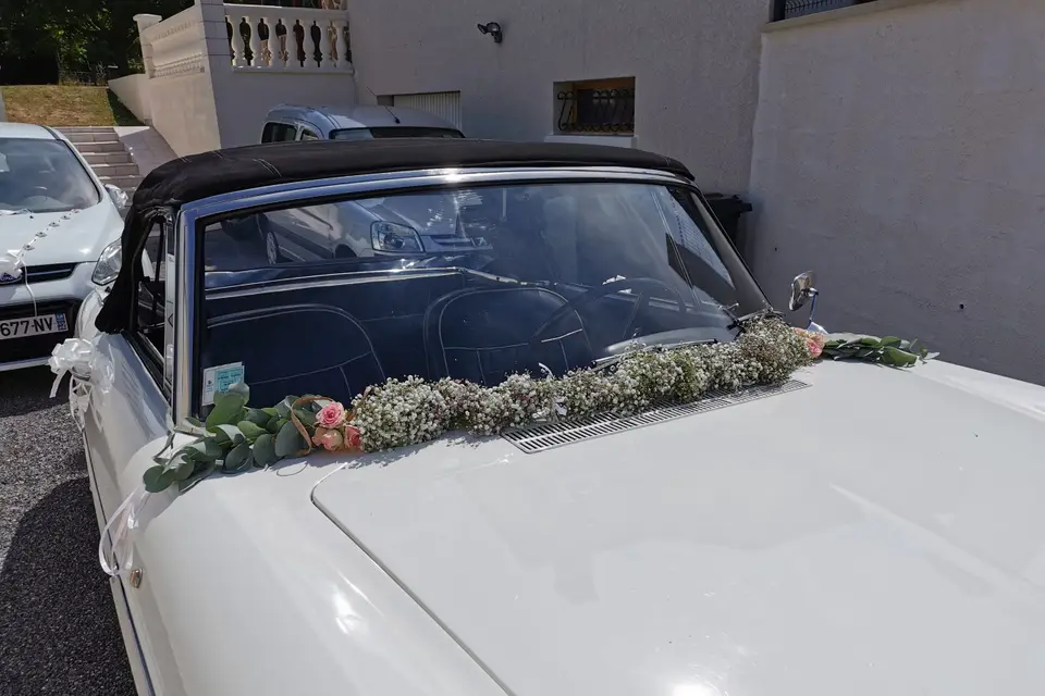 Danser Fleurette — photo 7