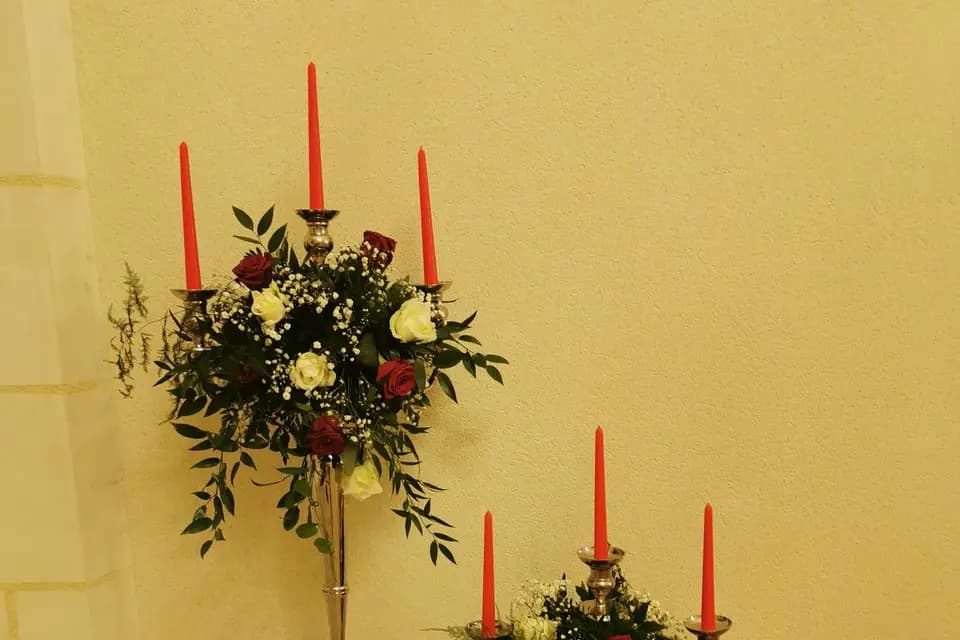 Danser Fleurette — photo 4