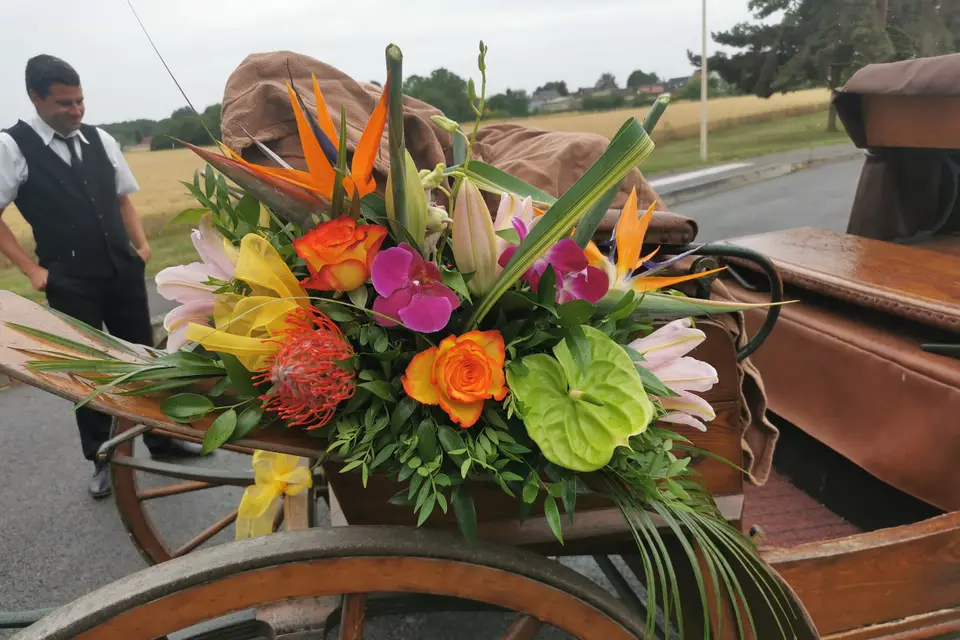 Danser Fleurette — photo 1