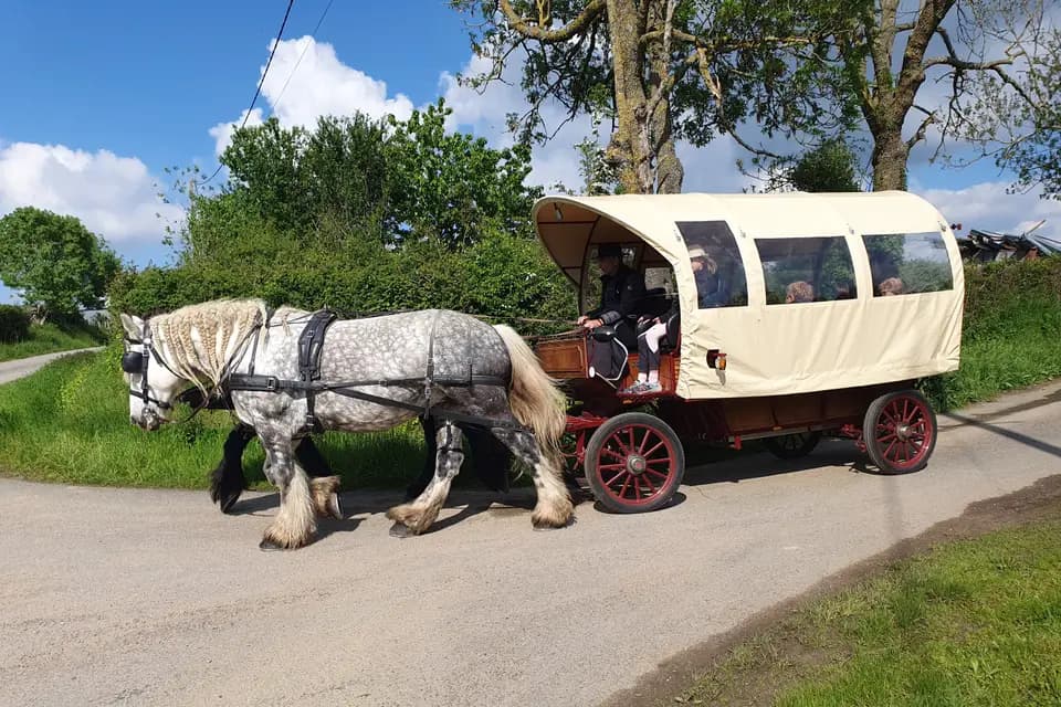 Calèches PJ Attelages — photo 1