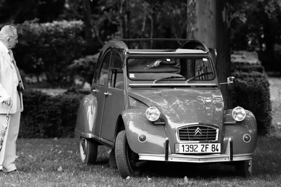 Misha Labruyère — photo 2