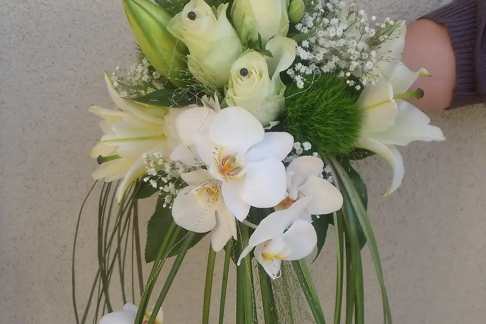 Flora Festy — photo 2