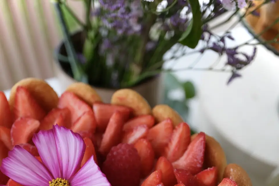 Blue Belly — photo 6