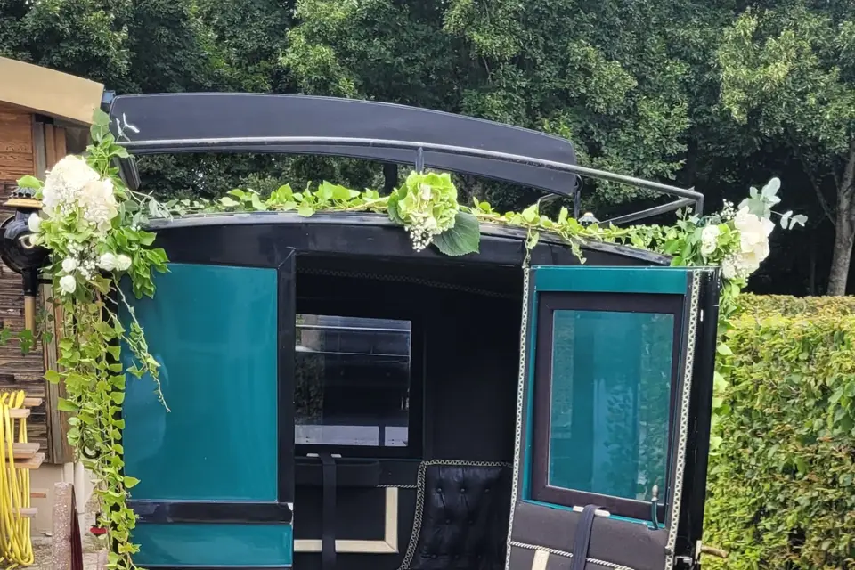 CobService — photo 6