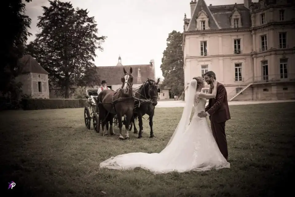 CobService — photo 2