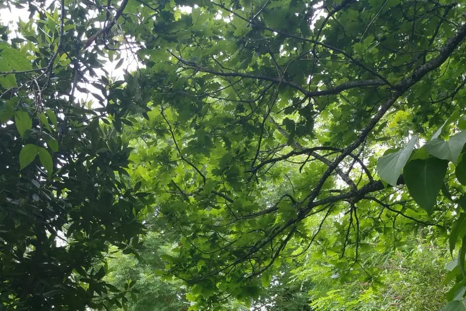 Château Amecourt — photo 5