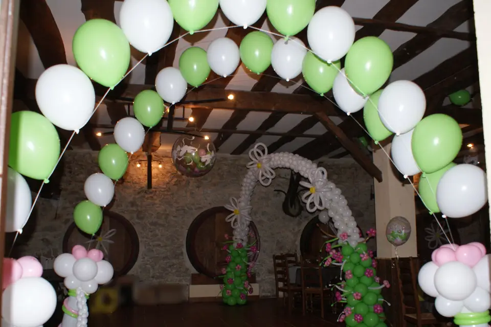 Ze Balloon Sisters — photo 3