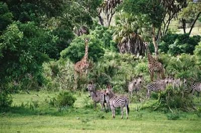 Mes secrets de voyage — photo 5