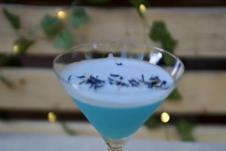 Le Baroudeur — photo 1