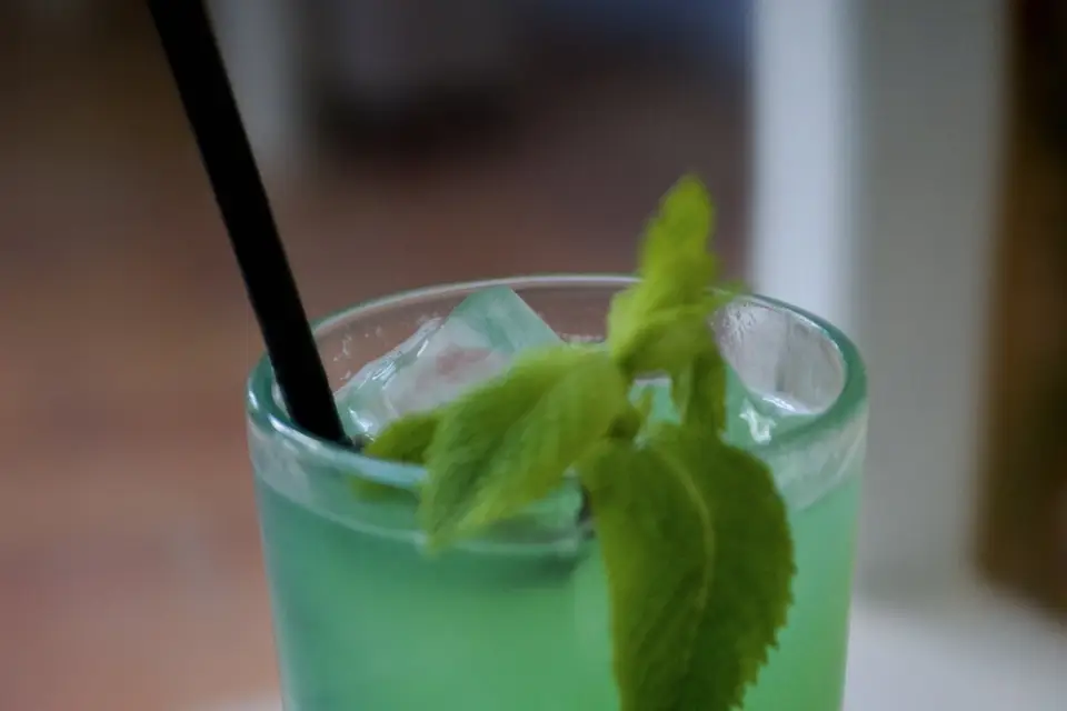 Le Baroudeur — photo 8