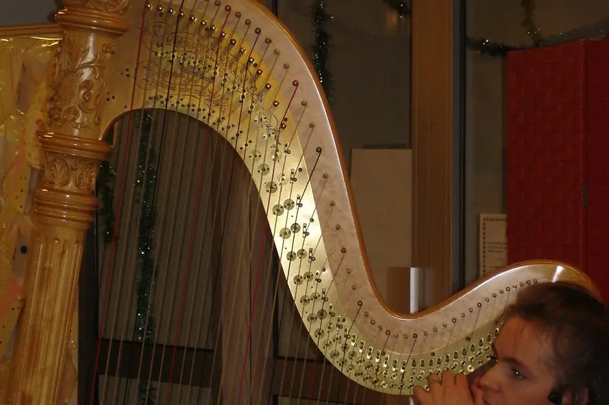 Harpe et Compagnie — photo 6