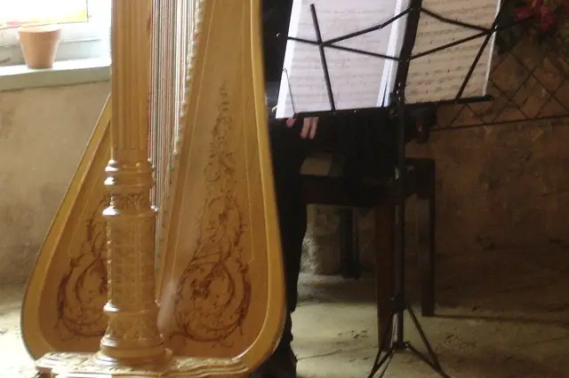 Harpe et Compagnie — photo 5