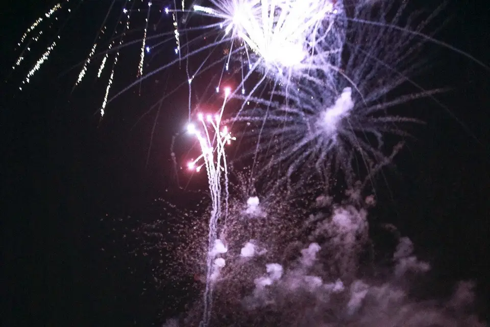 Alliance Photographique — photo 6