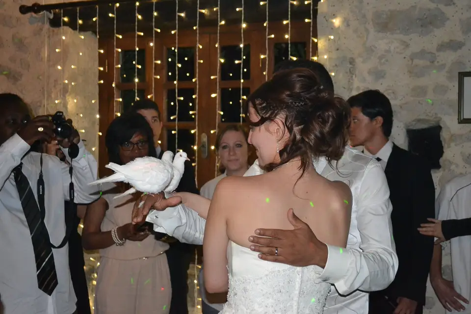 Angel Music — photo 8