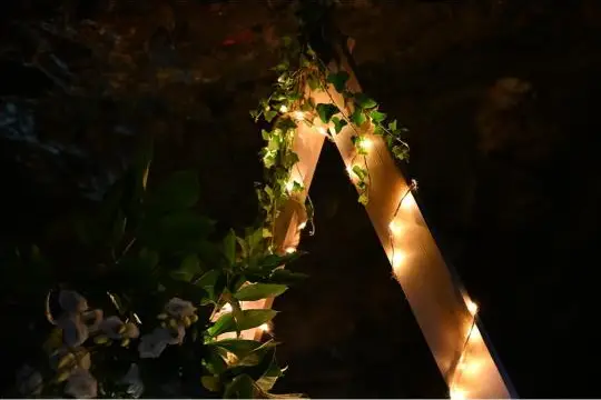 Art & Fit — photo 6