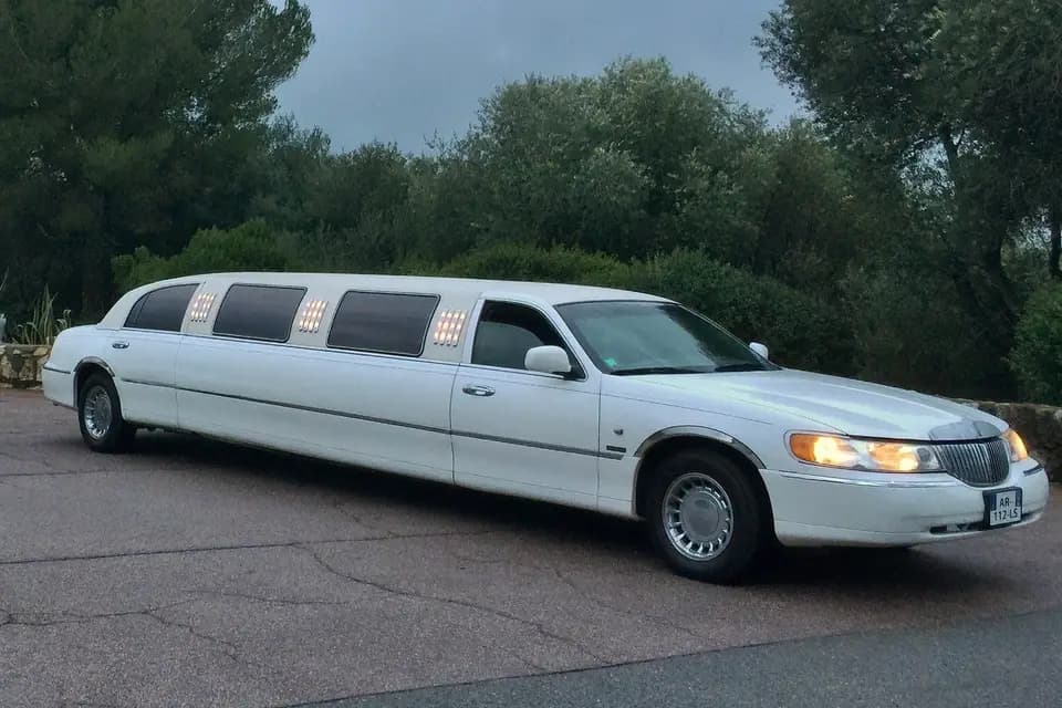 Excellium Limousine — photo 2
