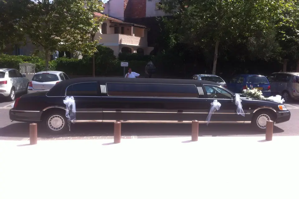 Excellium Limousine — photo 6