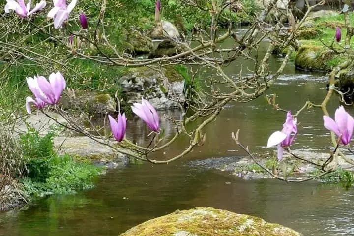 Orangerie de Kerstrad — photo 8